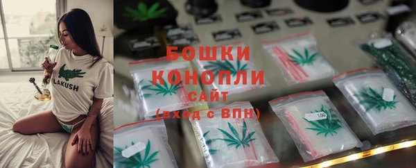 крисы Костерёво