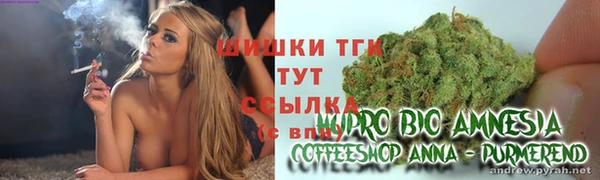 эйфоретик Коряжма