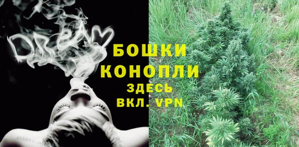 эйфоретик Коряжма