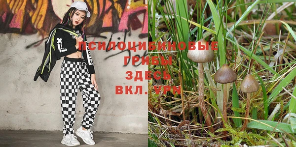 марихуана Корсаков