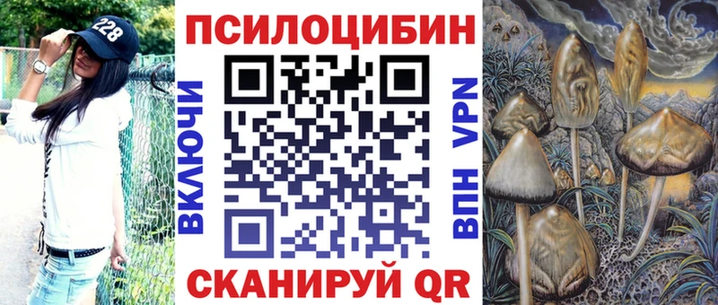 Галлюциногенные грибы Psilocybe  Купить закладки  Константиновск 